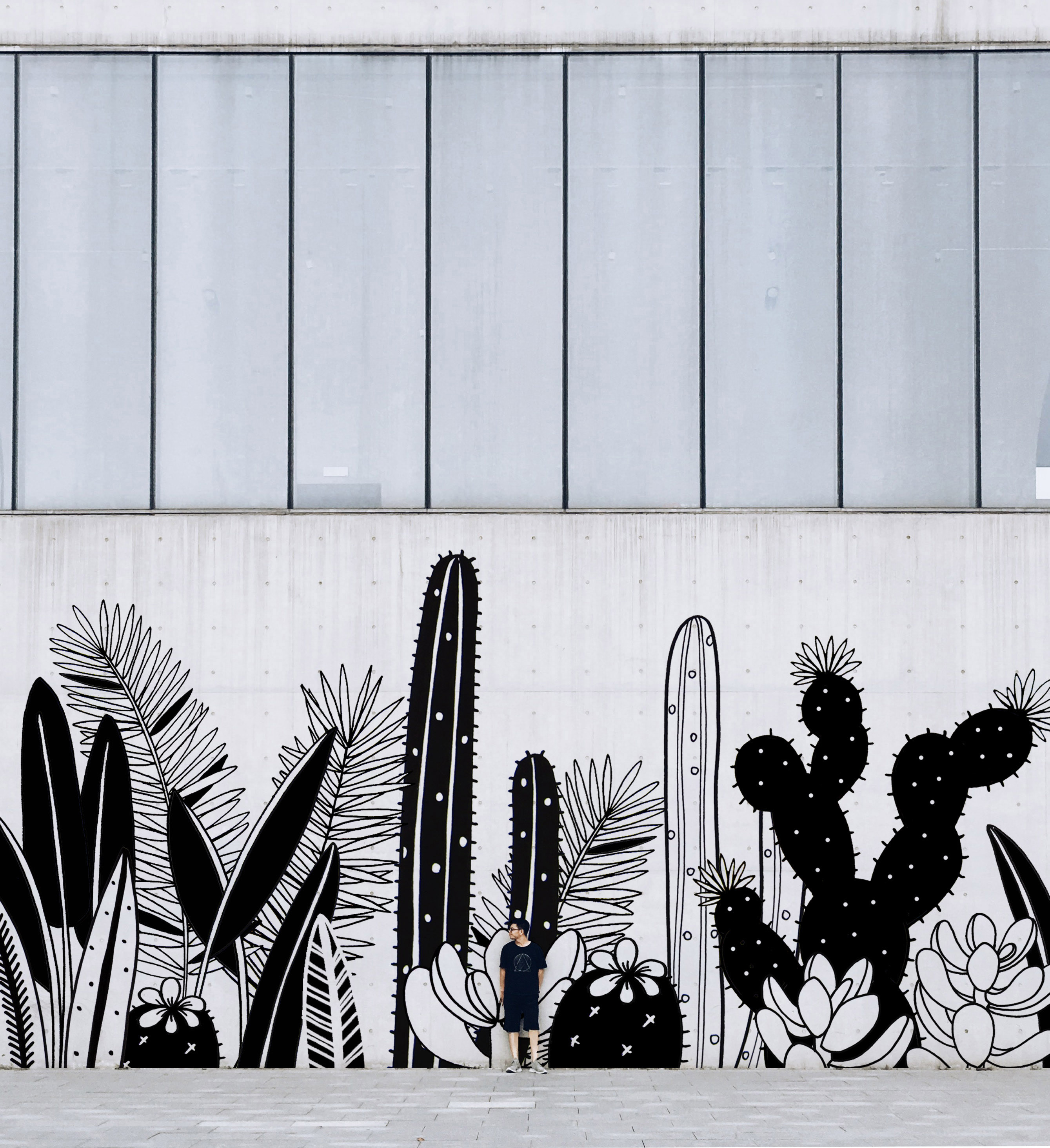 cactus mur2