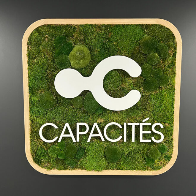 02-capacites